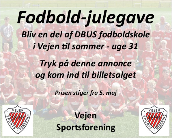 377 x 300 Fodboldskole i Vejen