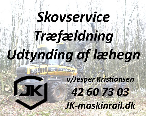 377 x 300 JK maskinrail 21 01 mindre