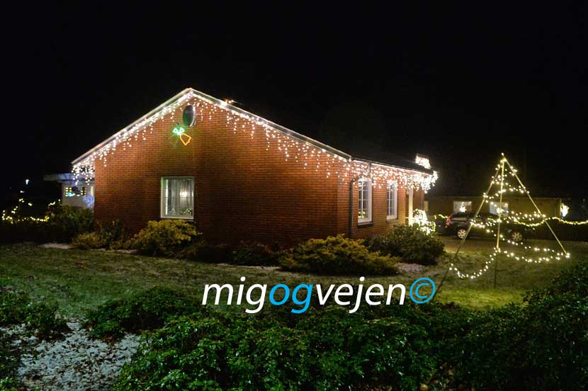 julelys 21 08 01
