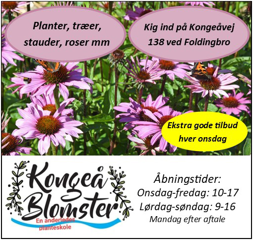 Kongeå Blomster