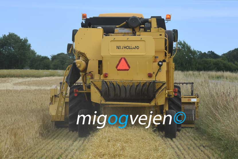 høst 22 01