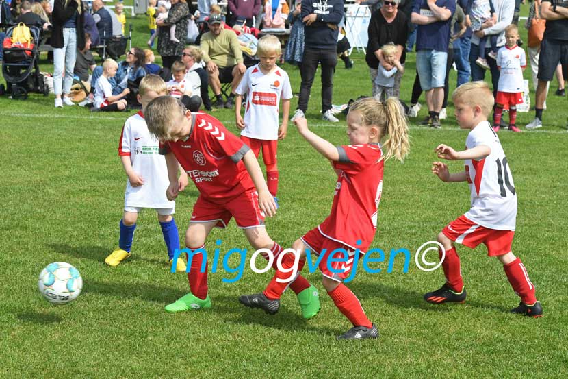 rif cup 23 03