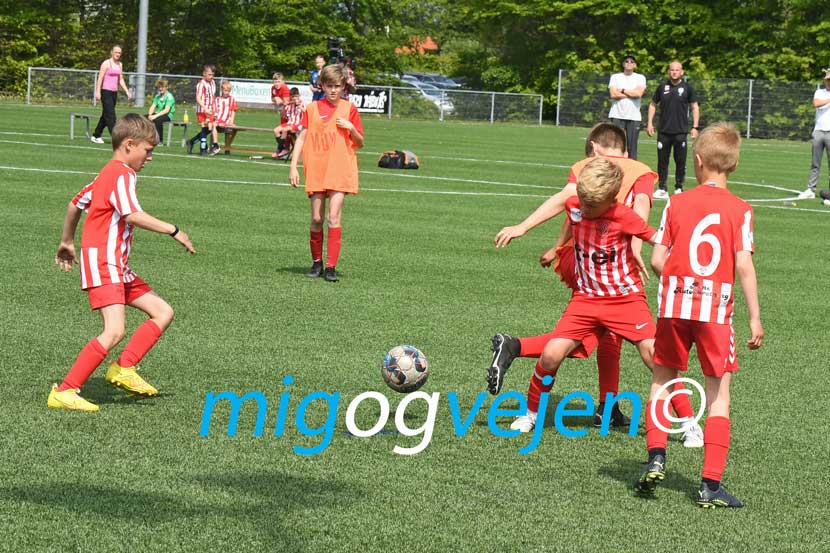 rif cup 23 04