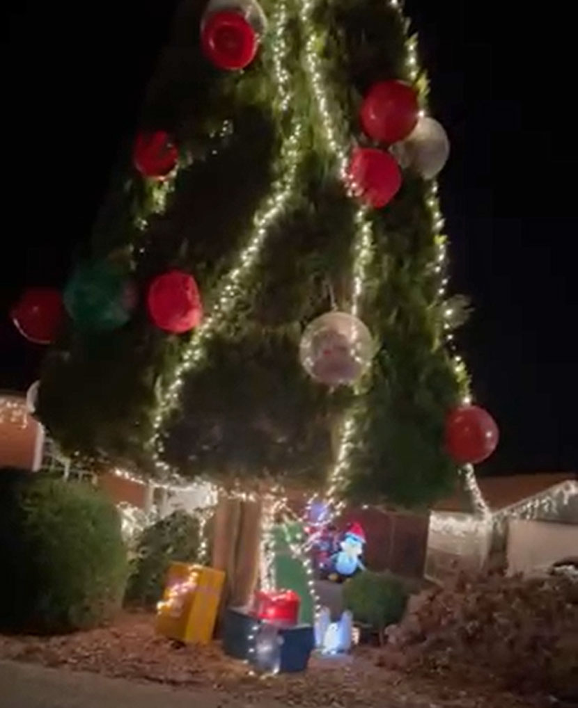 julelys tvargade tf 24 02