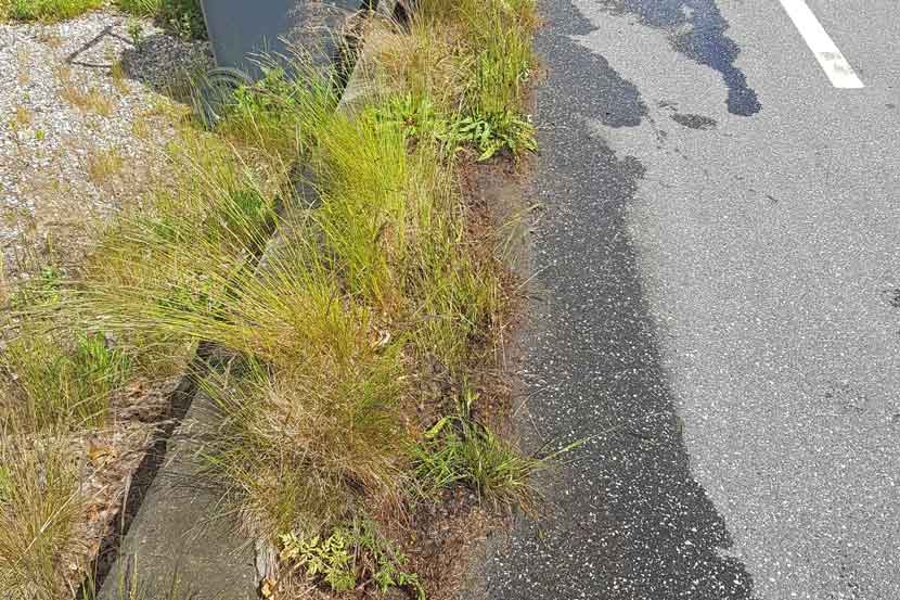 brand jelsvej hp 25 02