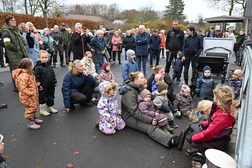 hovborg kobmand 25 01