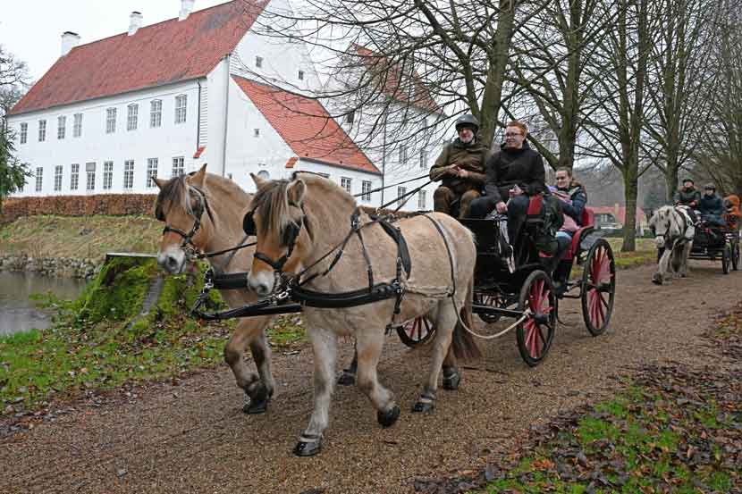 jul sonderskov 25 01