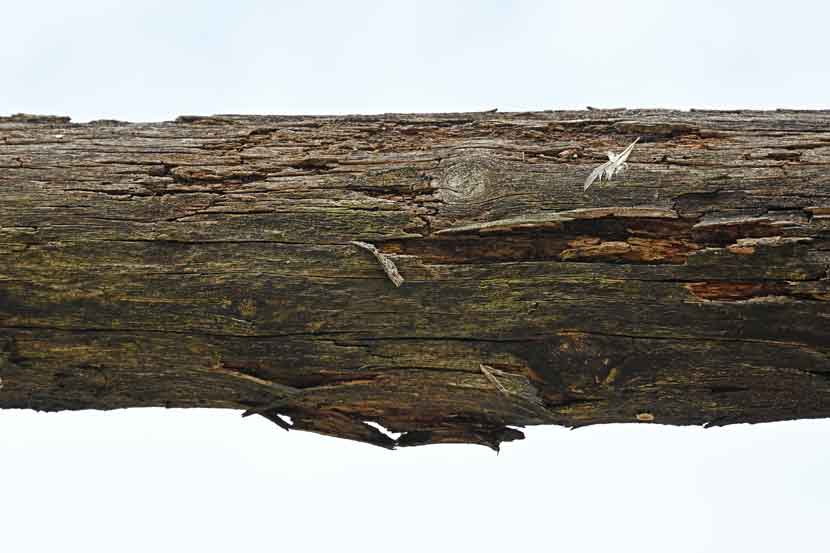 veerst bypark 26 03