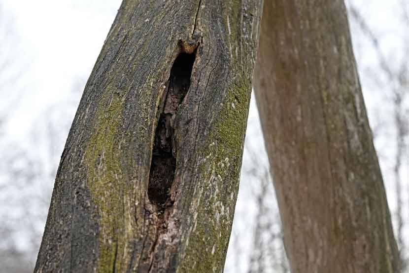 veerst bypark 26 04