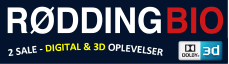 rodding bio