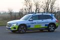 Fandt tyv i hæk