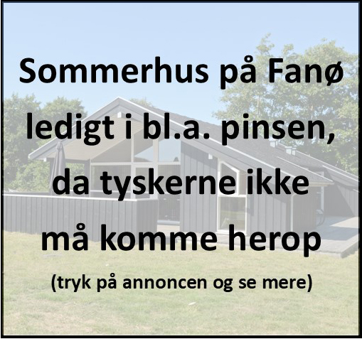 320x300 Sommerhus pinsen