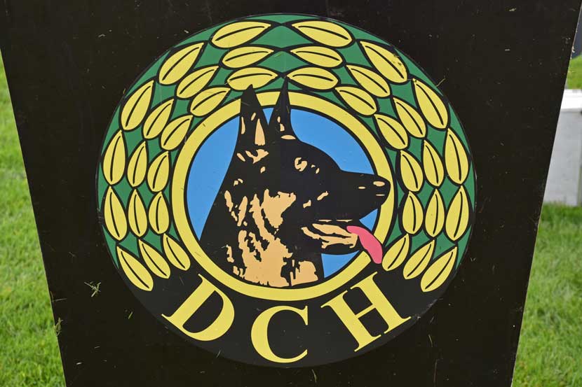 dch heh 21 02
