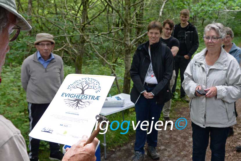 evighedstræ hovborg 21 03