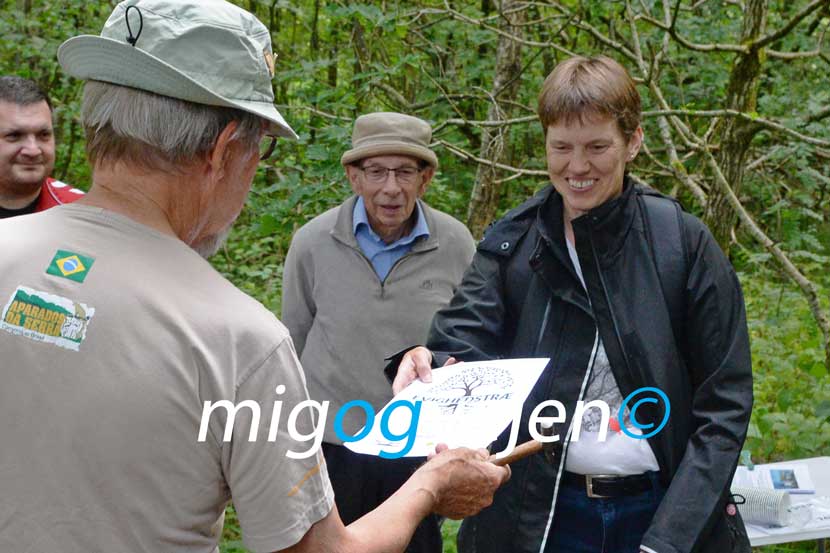evighedstræ hovborg 21 04