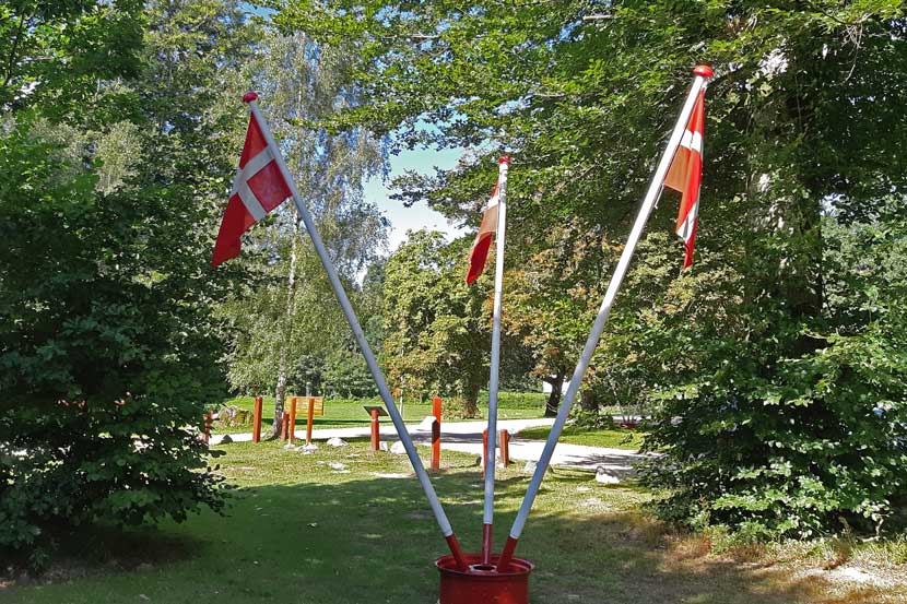 flagdag 21 01