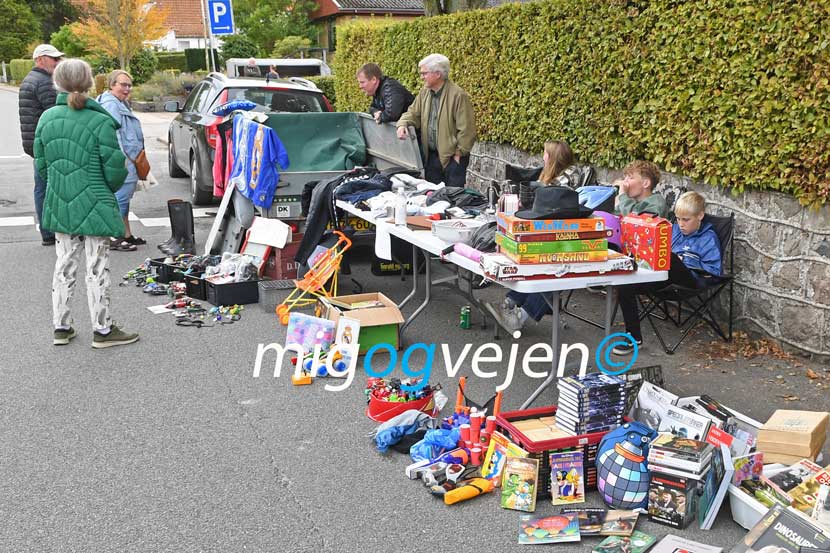 andst sensommerdage 22 02