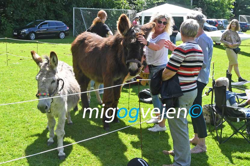 byfest gesten 22 05