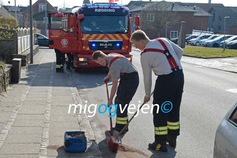 forurening 22 06