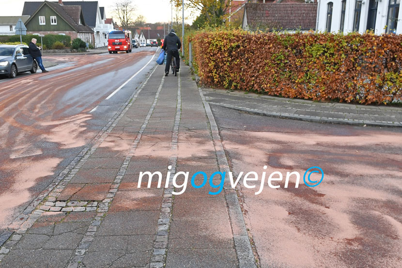 forurening jels 22 02