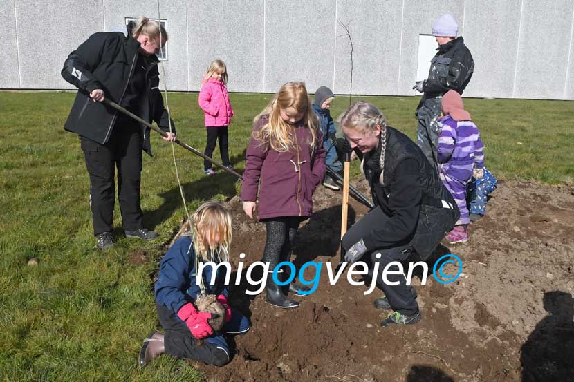 føvling planter 22 01