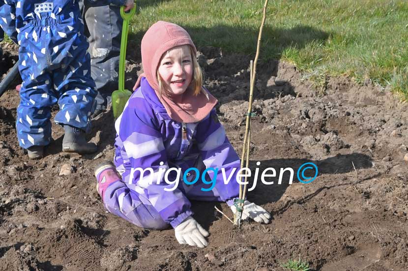 føvling planter 22 02