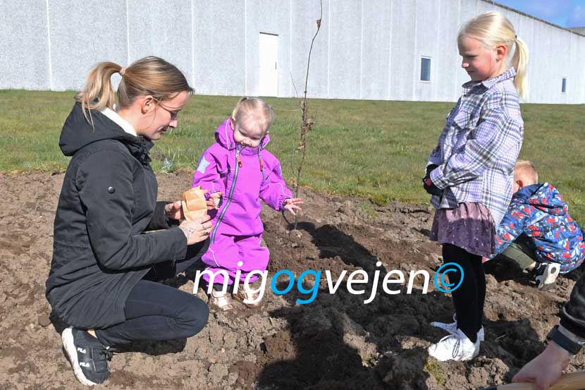 føvling planter 22 03