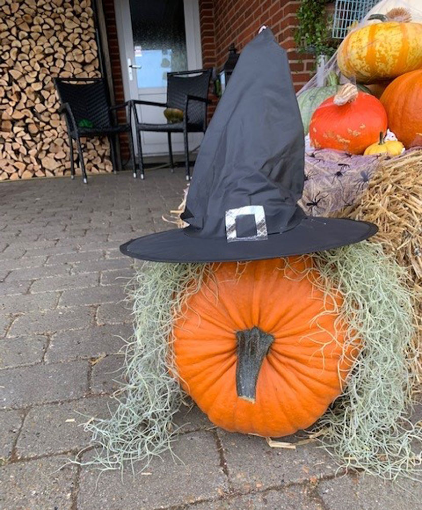 halloween pr 22 03
