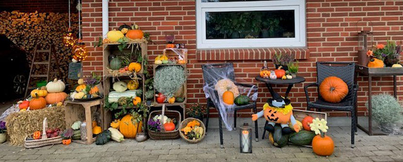 halloween pr 22 08