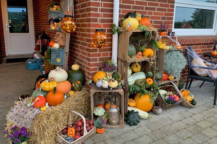 halloween pr 22 11