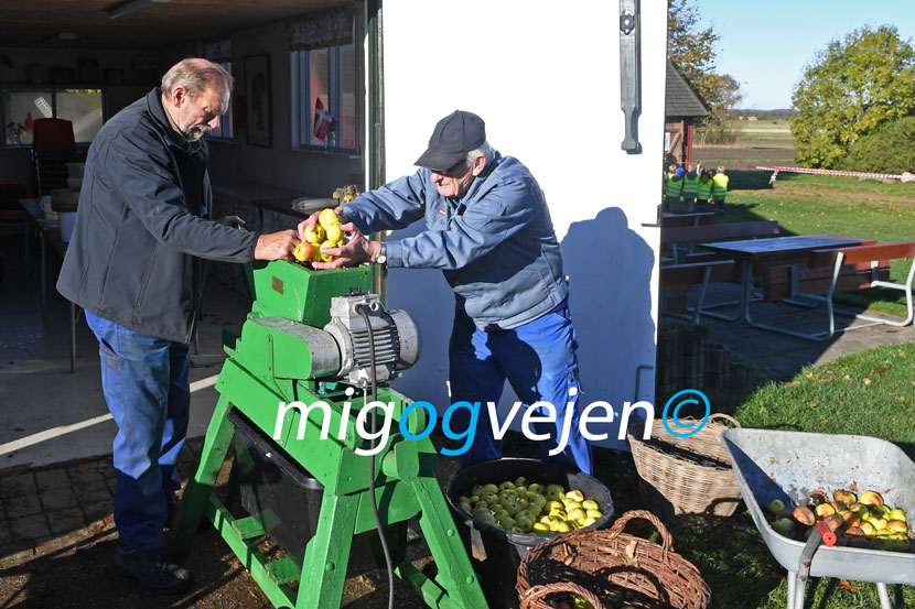 hygum hjemstavnsgård æbler 22 01