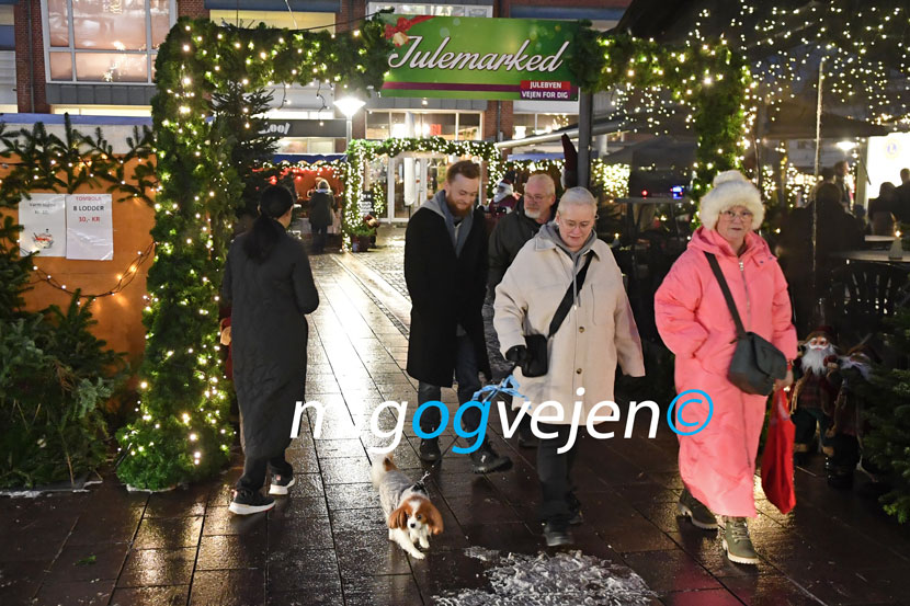 julemarked vejen 22 02