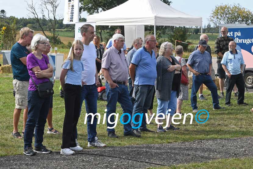 kartoffelfestival 22 03