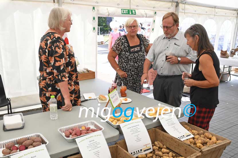 kartoffelfestival 22 07