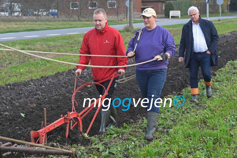 pløjning politiker 22 06