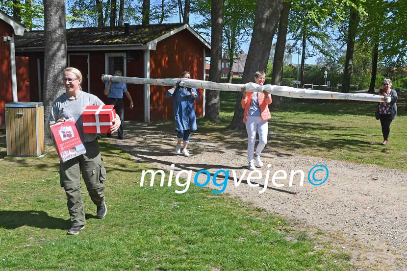 vejen anlæg 22 11