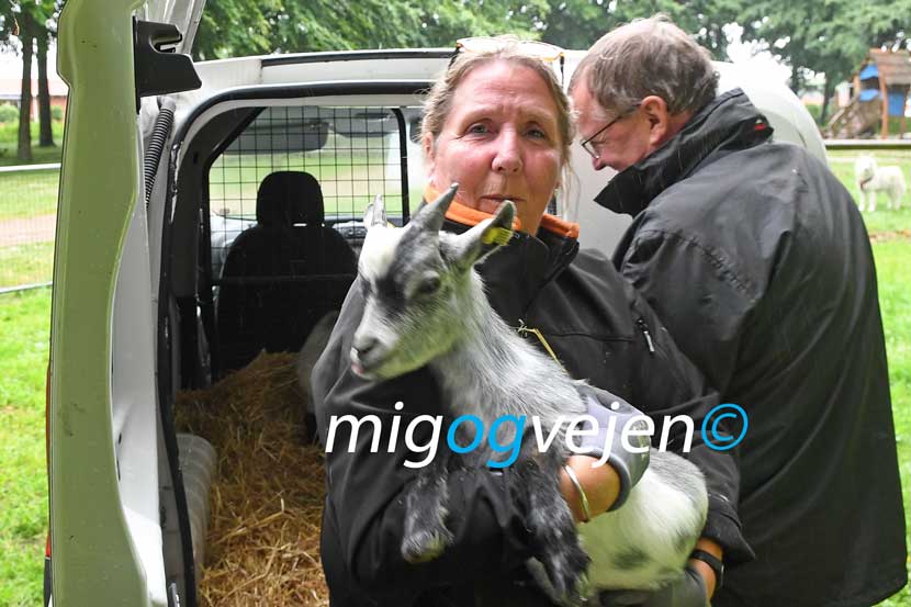 vejen anlæg 22 19
