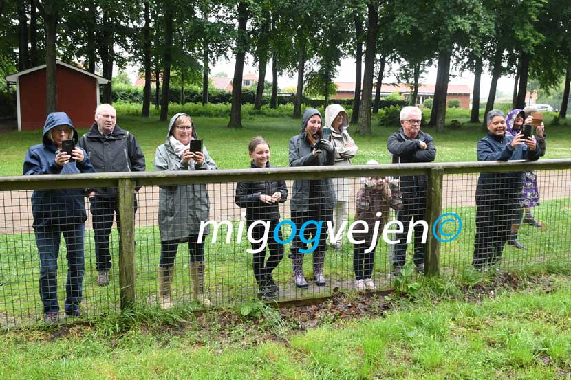 vejen anlæg 22 20
