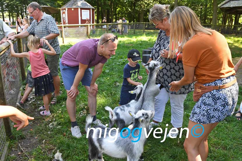 vejen anlæg indvielse 22 03
