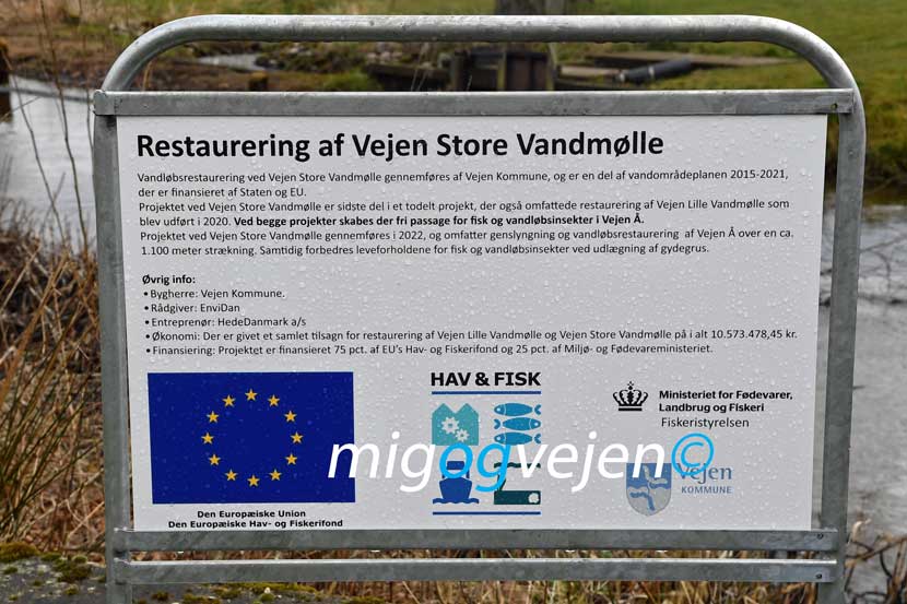 vejen store vandmiljø 22 01