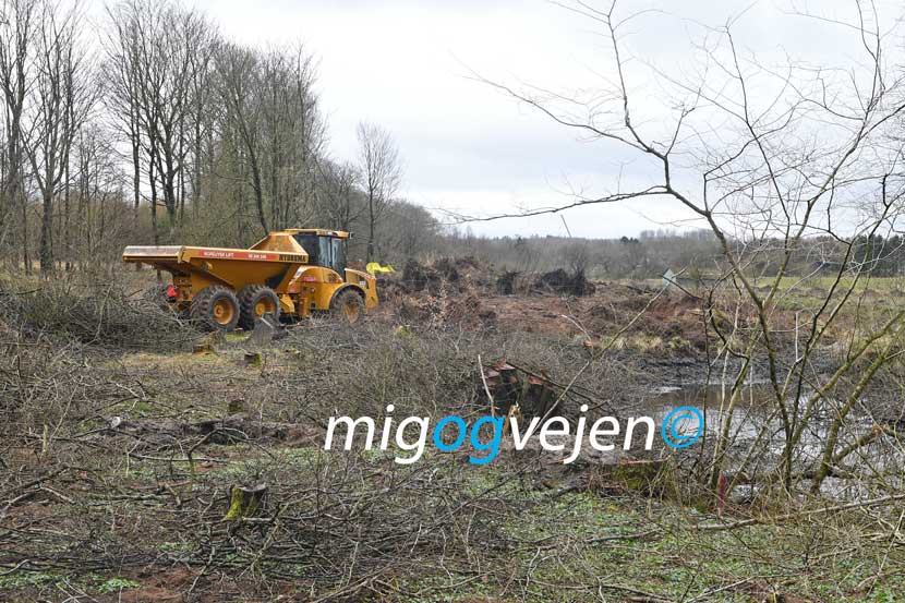 vejen store vandmiljø 22 02