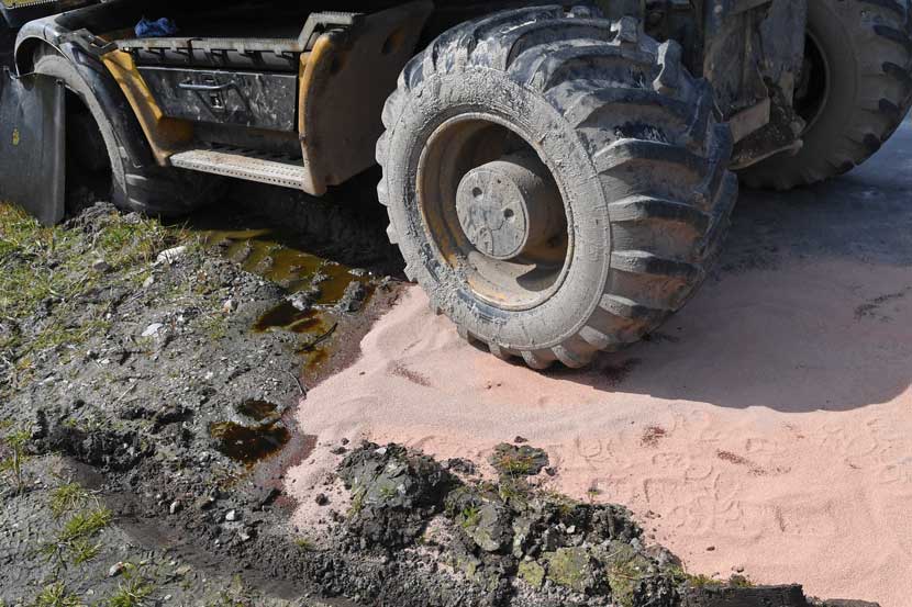 forurening kattegrus 24 01