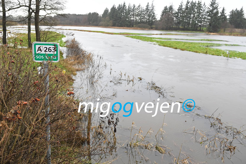 kongeåen regn 23 01