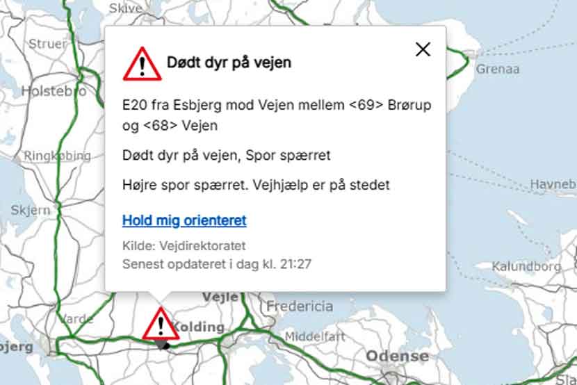dodt dyr trafikken
