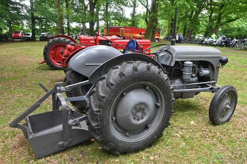 grundlovsfest 25 10