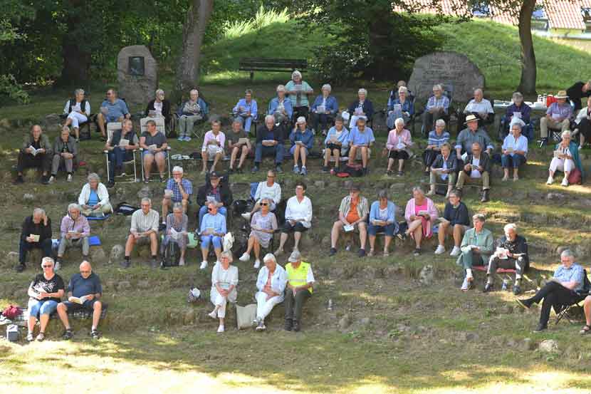 lions sensommersang 25 03
