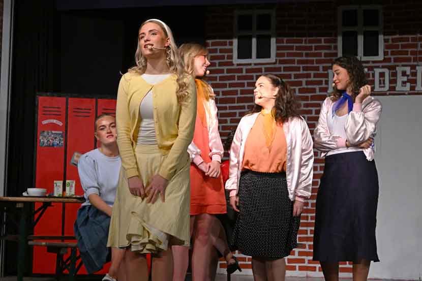vejen gymnasium musical 25 03