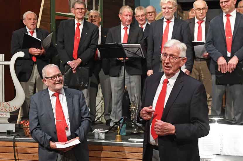 vejen mandskor 25 03