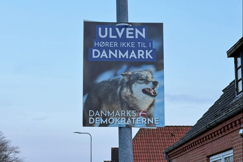 danmarksdemokraterne pr 26 01