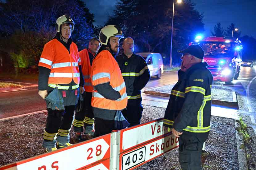 forurening korn 26 03